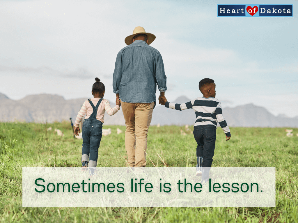 Read more about the article Sometimes life is the lesson.
