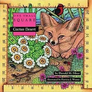 One Small Square: Cactus Desert