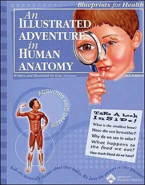 An Illustrated Adventure in Human Anatomy