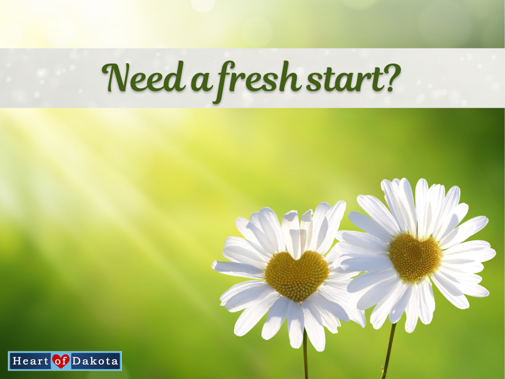 Read more about the article Need a fresh start?