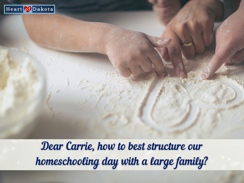 Read more about the article How can I best structure our homeschooling day with my large family?
