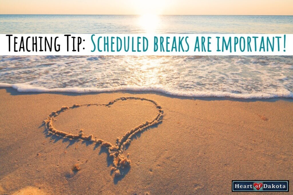 Read more about the article Scheduled breaks are important!