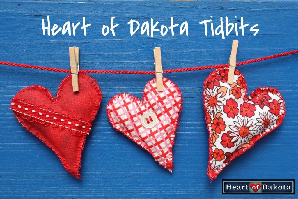 Read more about the article Heart of Dakota catalog requests are handled daily by two of our top men!