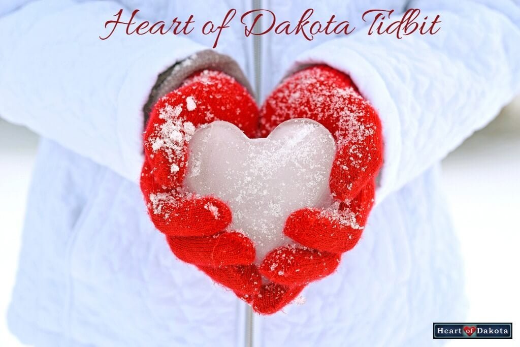 Heart of Dakota tidbit - photo of a person in a white coat holding a heart made of ice in two hands with red woolen gloves.