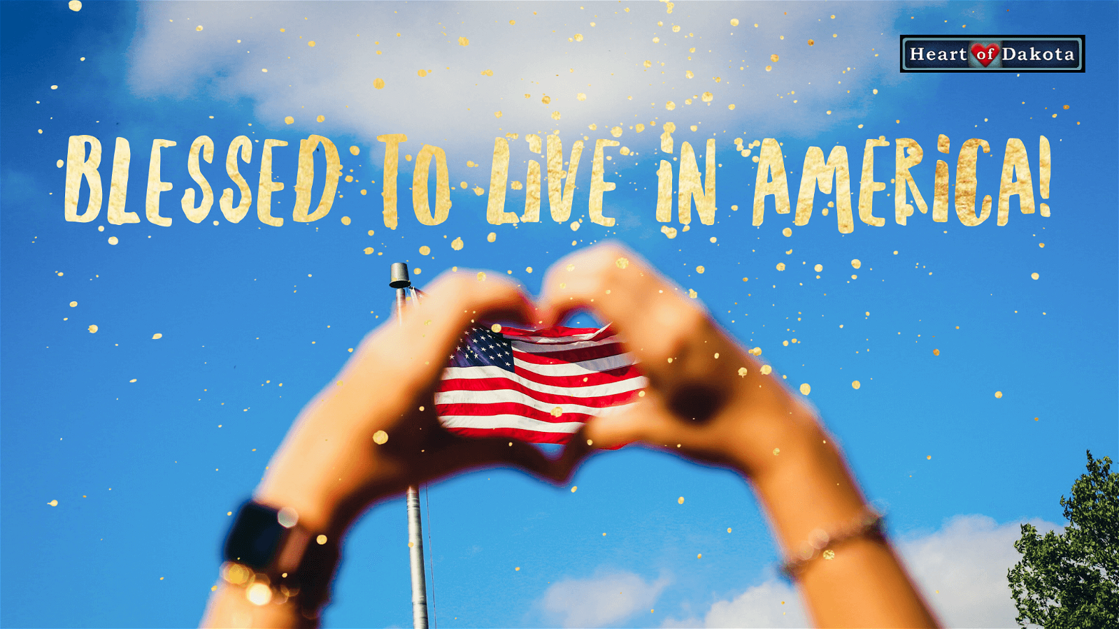 Read more about the article We are blessed to live in America!