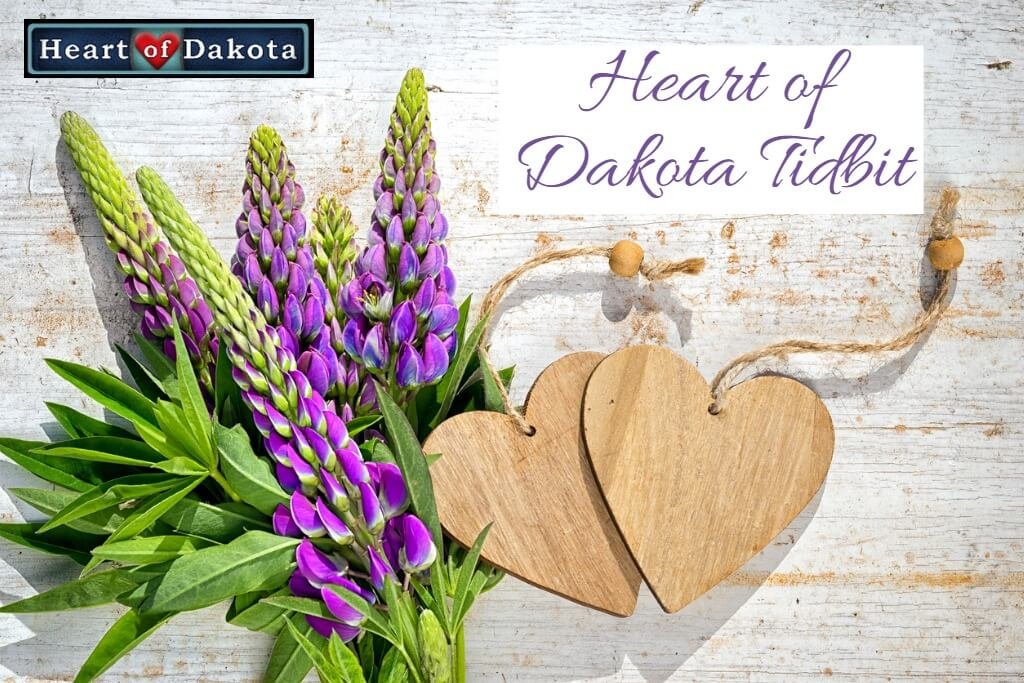 Heart of Dakota Tidbit