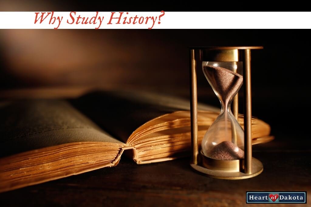 Read more about the article Why study history?