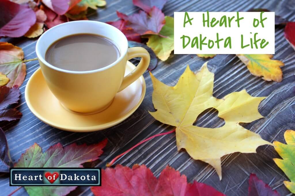 Read more about the article Heart of Dakota’s Poetry Study, R & S English, and Literature Help with CLEP Tests