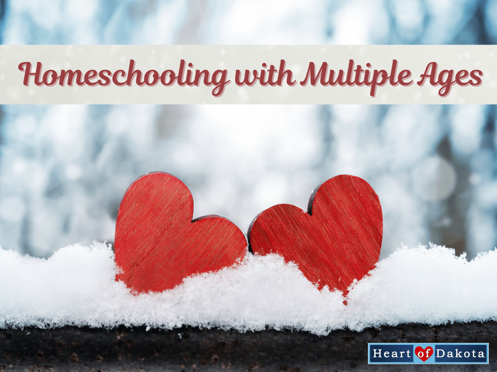 Read more about the article Homeschooling with Multiple Ages