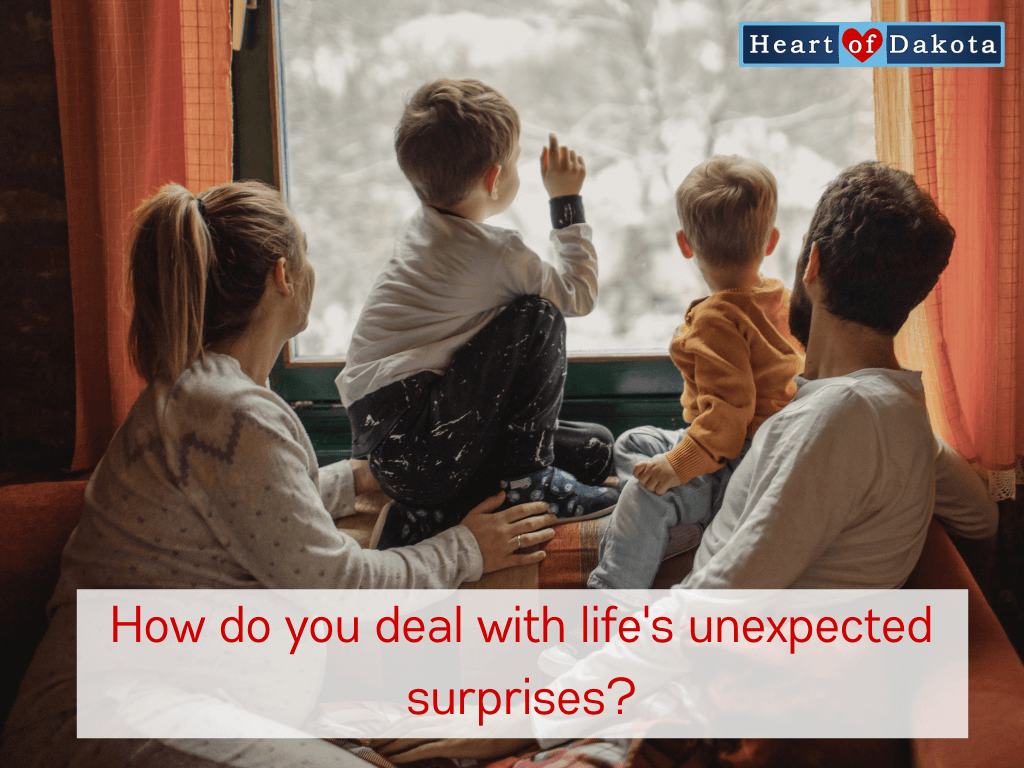 Read more about the article How do you deal with life’s unexpected surprises?