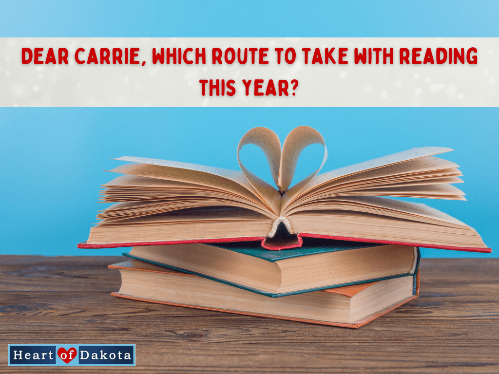 Read more about the article Which route should I take with reading this year?