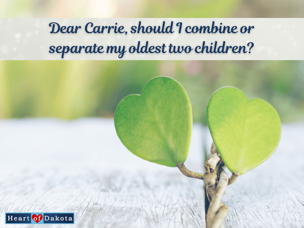Read more about the article I need your assistance! Should I combine or separate my oldest two children?