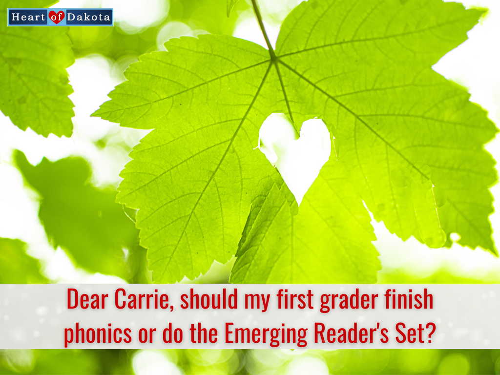 Read more about the article Should my first grader finish phonics or do the Emerging Reader’s Set?