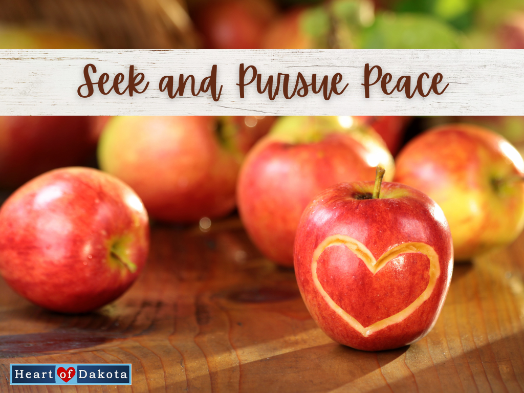 Read more about the article Seek and Pursue Peace