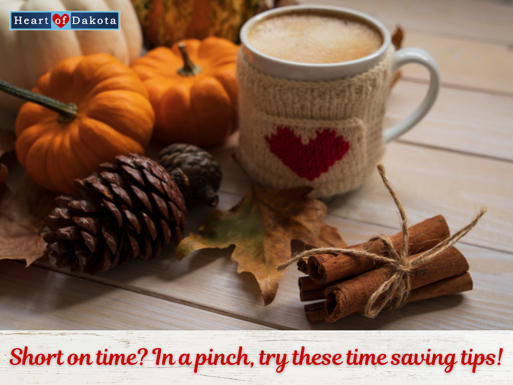 Read more about the article Short on time? In a pinch, try these time saving tips!