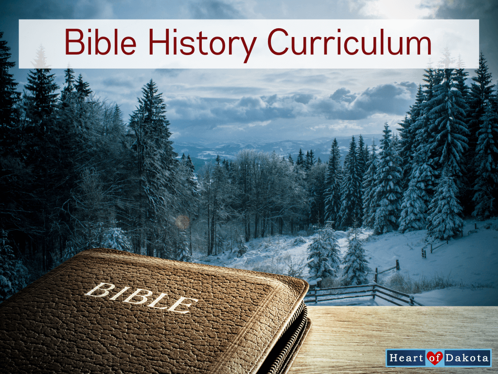 Read more about the article Bible History Curriculum