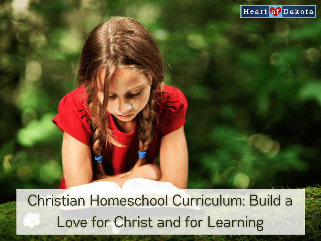 Read more about the article Christian Homeschool Curriculum: Build a Love for Christ and for Learning