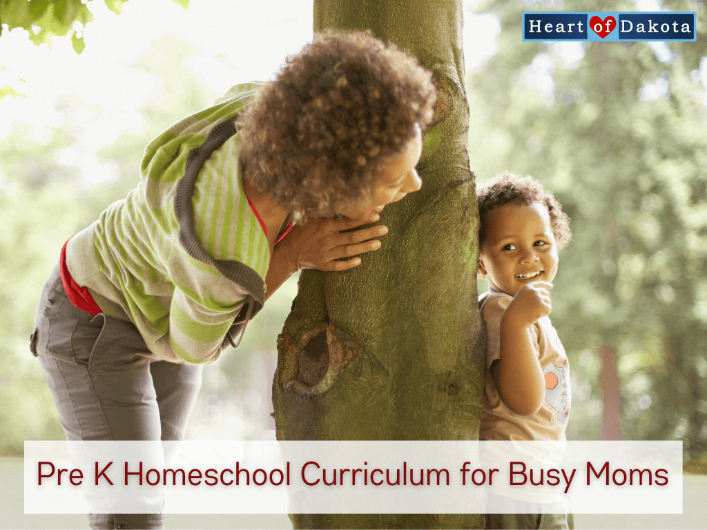 Read more about the article Pre K Homeschool Curriculum for Busy Moms