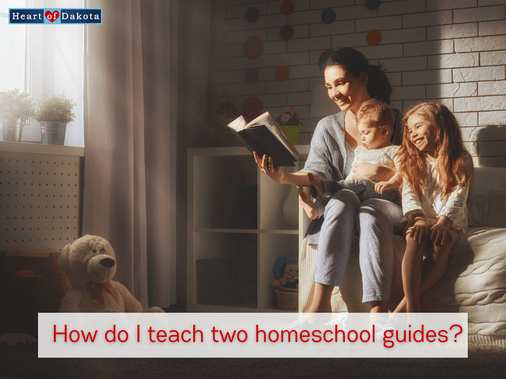 Read more about the article How do I teach two homeschool guides?