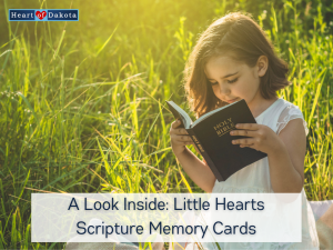 Heart of Dakota - A Look Inside: Little Hearts Scripture Memory Cards