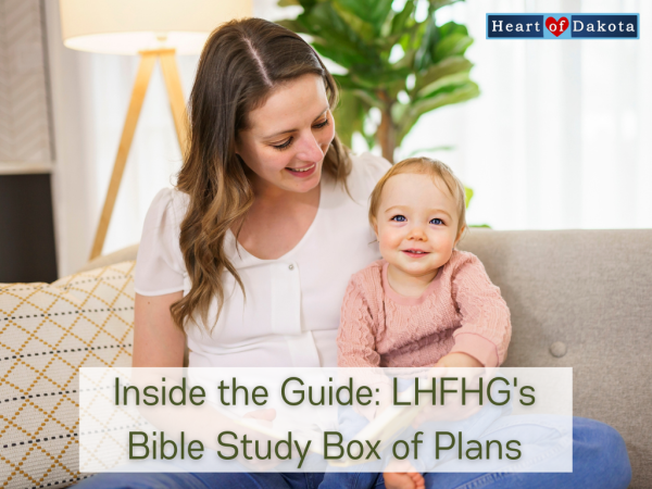 Inside the Guide: LHFHG's Bible Study Box of Plans